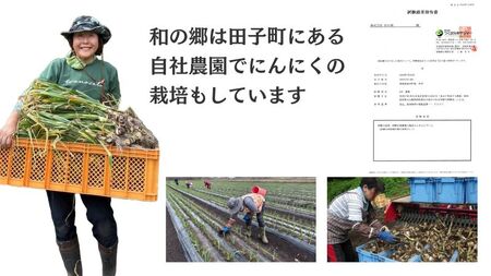 日本一ブランドたっこにんにくLサイズ15玉（青森県田子町産にんにく）