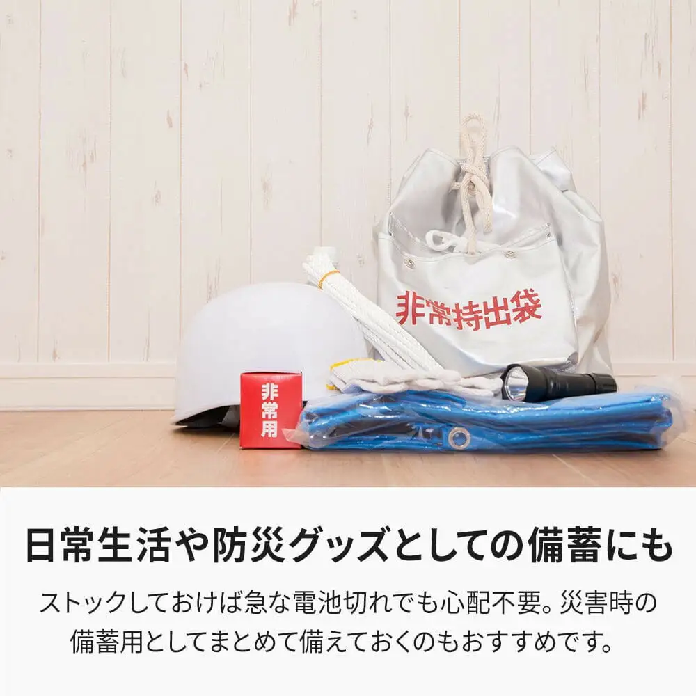【enevolt】 エネボルト Basic アルカリ乾電池 単4形 24本セット 【2年間保証】 SET-EVA424