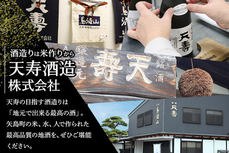 天寿酒造 日本酒 純米大吟醸 鳥海山 720ml × 2本 Kura Master 金賞受賞