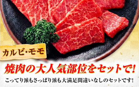 飛騨牛 A5等級 焼肉用 カルビ・モモ 500g カルビ カルビ焼肉 カルビ肉 もも肉 焼肉 焼き肉 やきにく 焼肉セット 焼肉用 赤身 最高級 a5 A5 牛 和牛 牛肉 お肉 高級 贈答ギフト 岐阜市 / 肉の松久[ANIP003]