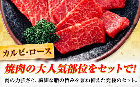 飛騨牛 A5等級 焼肉用 カルビ・ロース 500g カルビ カルビ焼肉 カルビ肉 ロース 焼肉 焼き肉 やきにく 焼肉セット 焼肉用 赤身 最高級 a5 A5 牛 和牛 牛肉 お肉 高級 贈答ギフト 岐阜市 / 肉の松久[ANIP005]