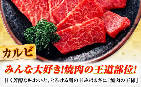 飛騨牛 A5等級 焼肉用 カルビ 500g カルビ カルビ焼肉 カルビ肉 焼肉 焼き肉 やきにく 焼肉セット 焼肉用 最高級 a5 A5 牛 和牛 牛肉 お肉 高級 贈答ギフト 岐阜市 / 肉の松久[ANIP007]