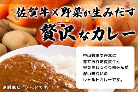 佐賀牛カレー 150g 3個 | 佐賀牛と野菜の深い味わい | 贅沢レトルトカレー 3個セット A-192 ご当地カレー 温めるだけ 湯煎 牛カレー 防災 非常食 常備食