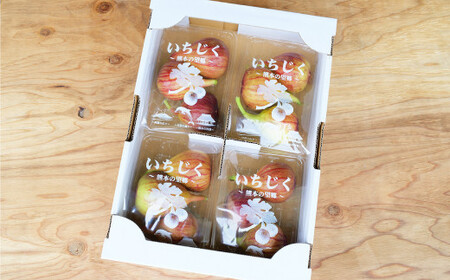 ハウスイチジク 約1kg （約250g×4パック）【2026年6月上旬発送開始】 果物 フルーツ いちじく イチジク 旬 旬の果物 旬のフルーツ 熊本県 合同会社宝ファーム