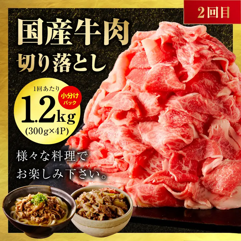 国産 牛肉 豚肉 鶏肉 定期便 3回 総量 4.2kg 