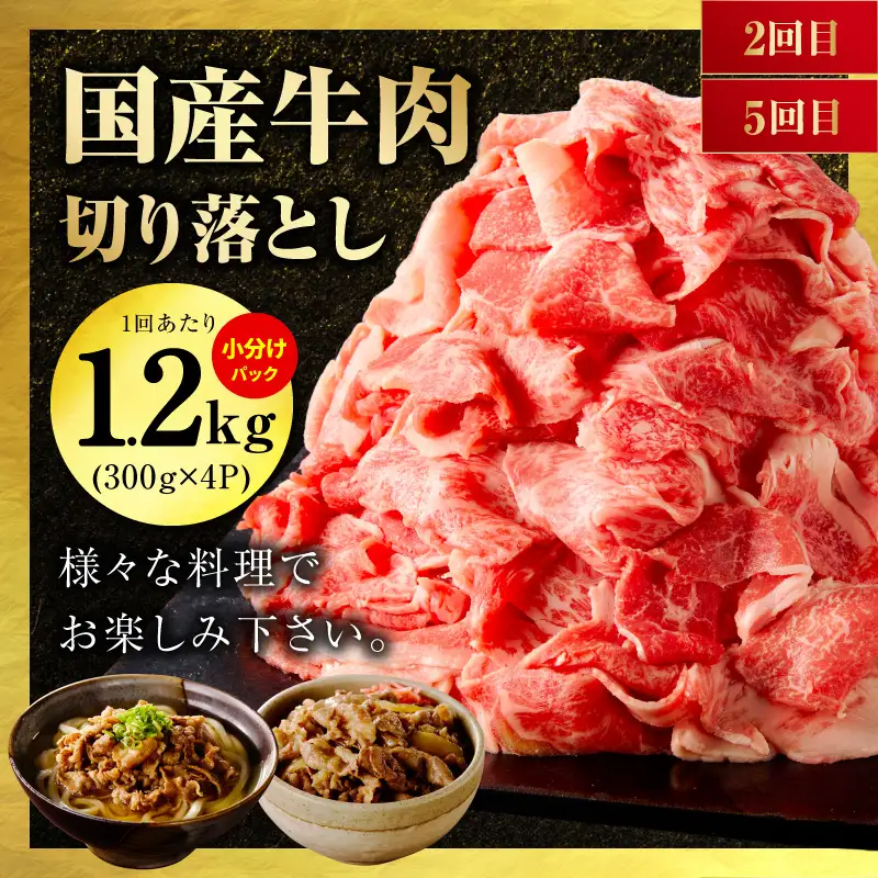 国産 牛肉 豚肉 鶏肉 定期便 6回 総量 8.4kg 