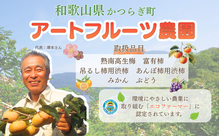 先行予約 富有柿  約2.5～3kg 秀優混合 サイズ混合 【2026年11月中旬～12月下旬頃発送予定】～こんな美味しいの「食べるのはじめてや!」の感動をお届けします。～ / 柿 富有柿 和歌山県 かつらぎ町 秋の味覚 フルーツ 果物 甘い 美味しい 旬【G-art044】