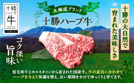 北海道 十勝 ハーブ牛  サーロインステーキ 600g （200g×3） 《足寄町》【株式会社ノベルズ食品】[BEAQ048]