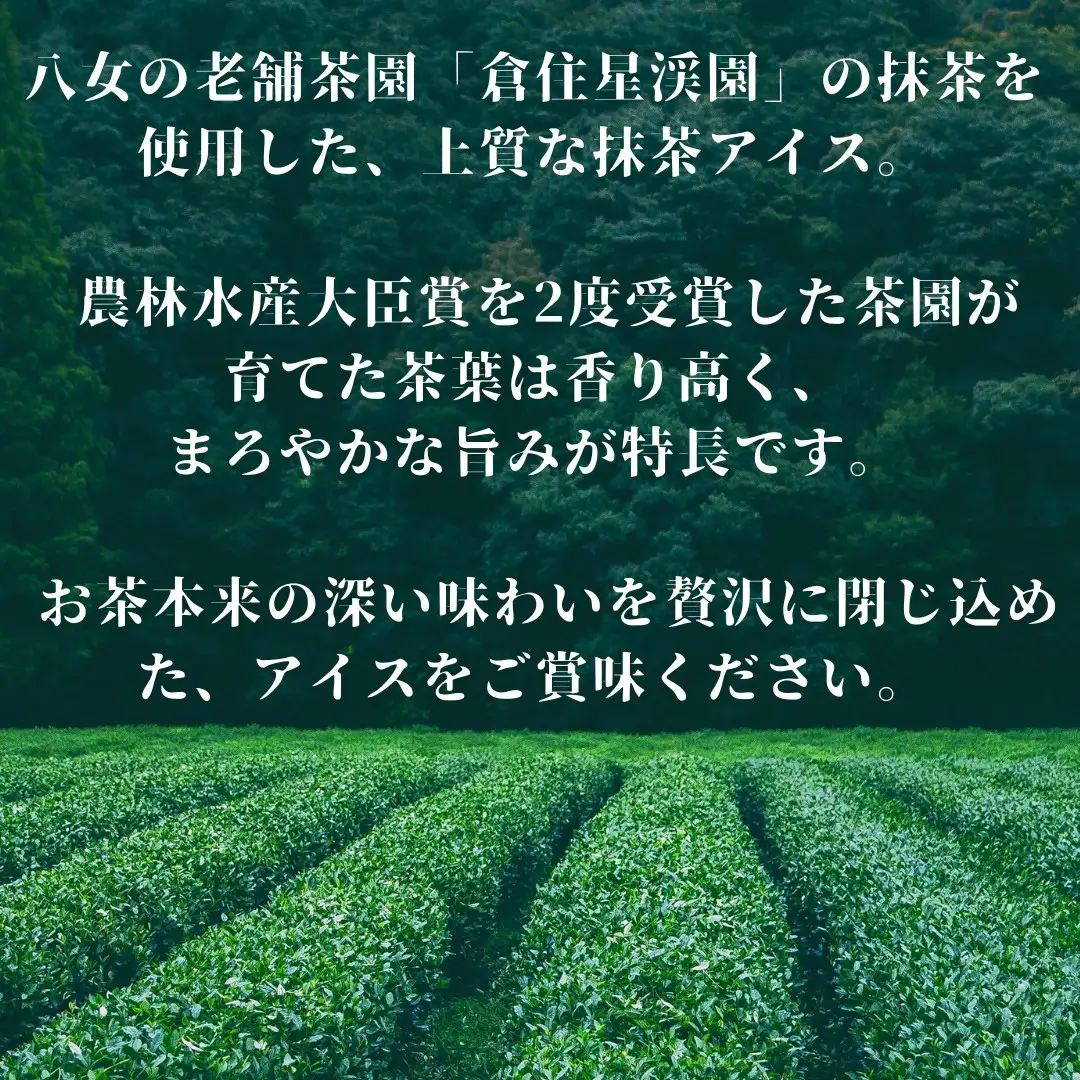 食べくらべ 八女抹茶アイス 濃茶＆薄茶 各4個 抹茶アイス 濃厚抹茶 スイーツ デザート アイスクリーム 八女抹茶 福岡県 八女市 043-006