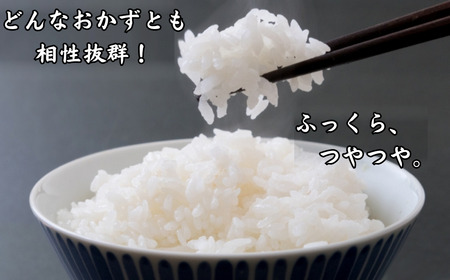 Y1071 鳥取県産「コシヒカリ」玄米5kg（令和8年産）