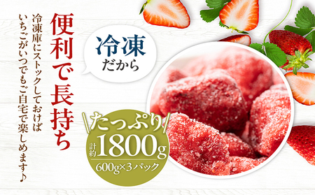 【先行予約】完熟冷凍いちご 【600g×1袋】計600g いちご 苺 ストロベリー 冷凍 フローズン 美味しい 甘い 大粒 大きい 果物 フルーツ 数量限定 farmいちごろ 愛知県 常滑市