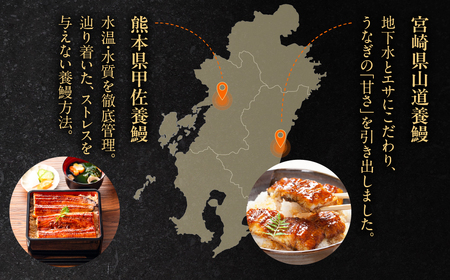 静岡県産 国産うなぎ蒲焼 1尾 うなぎ