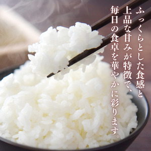 愛媛県産にじのきらめき5kg