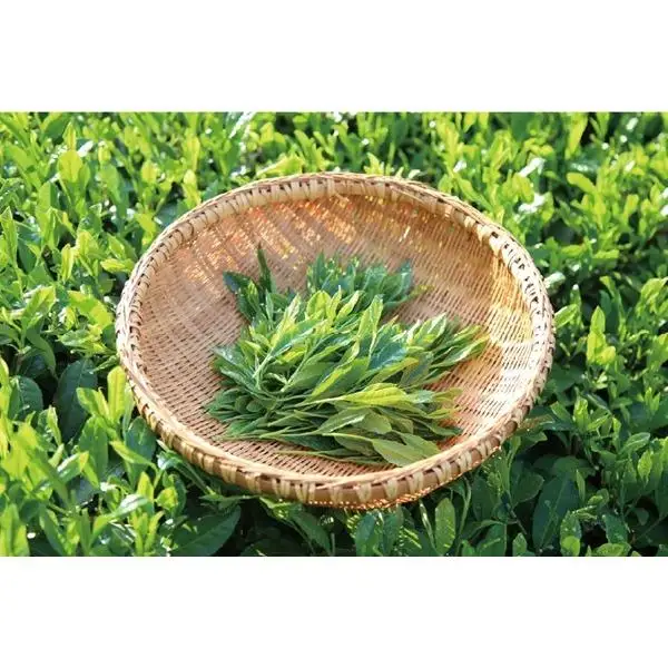 大和園ティーバッグ3品　雁金焙茶入
