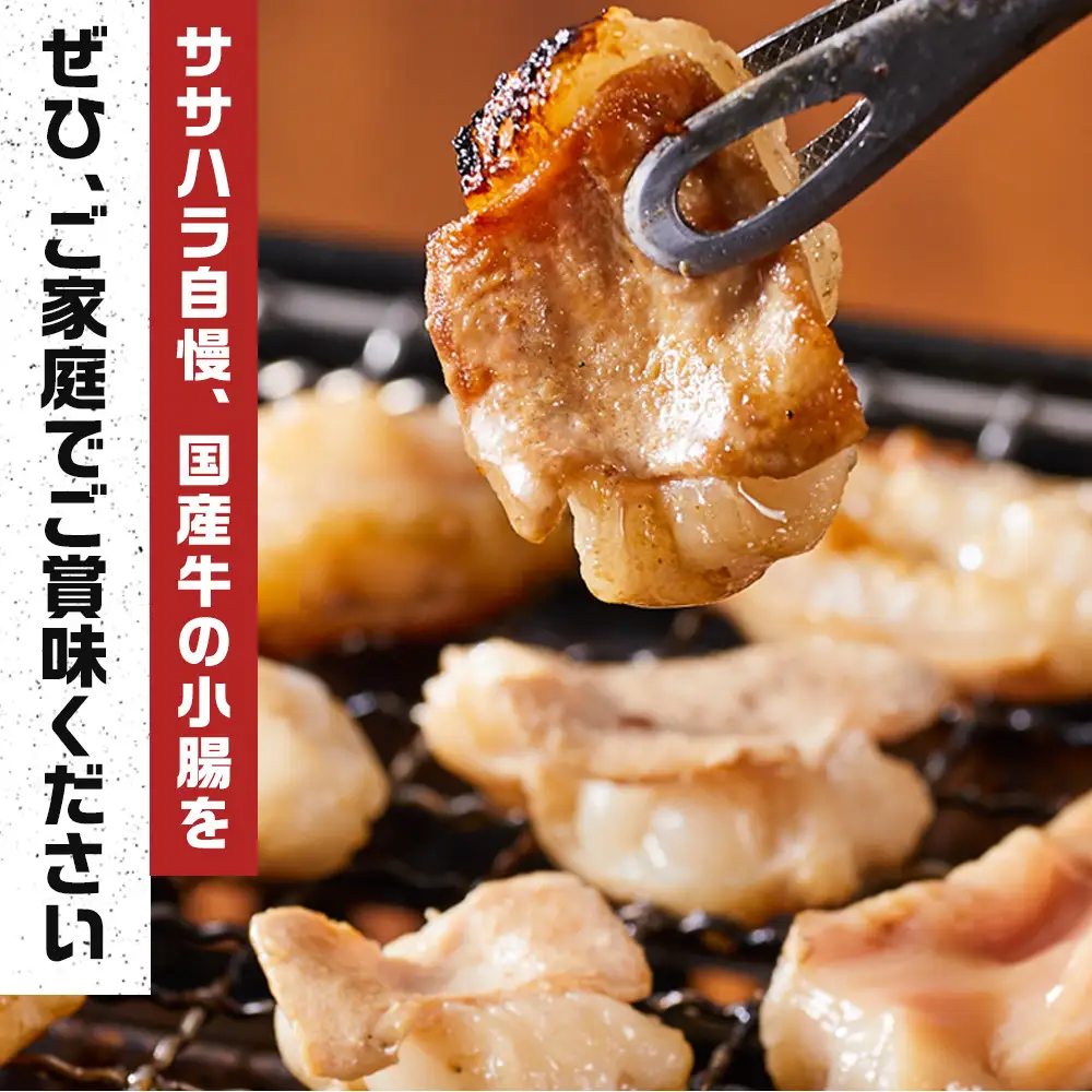《業務用・訳アリ》国産牛　小腸　10kg