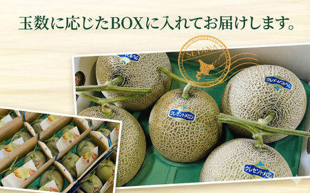 【2026年8月上旬から順次発送】【北海道産極旨メロン】クレセントメロン 2玉 メロン 旬 野菜 青肉 ジュース  産地直送 せたな町 ふるさと納税