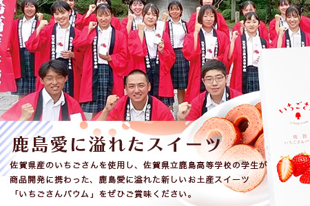 佐賀いちごさんバウム 5個入り 1箱 バウムクーヘン バームクーヘン 焼菓子 スイーツ お菓子 佐賀 鹿島 九州 ご当地スイーツ AA-55