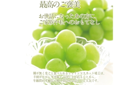  【2回定期便】プレミアム シャインマスカット 晴王 1房 約700g 2回 定期便 9月・10月に1回ずつお届け 種無し  皮ごと食べる  フレッシュ  旬の美味しさ【2026年9月上旬発送開始】【シャインマスカット マスカット ぶどう 葡萄 岡山県産   種無し 皮ごと食べる みずみずしい 9月～10月お届け フレッシュ 晴れの国おかやま 果物大国 船穂産 贈答品  岡山県 倉敷市】