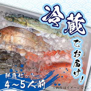 鮮魚 冷蔵 クール便「 開けたらすぐ食べられる下処理済み 海産物 4～5人前 セット 」みずしまや【 パック 詰め合わせ 海鮮セット 鮮魚ボックス 海鮮 海の幸 魚介 魚介類 刺身 切り身  秋田県 にかほ 】 
