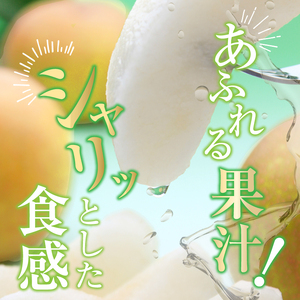 【先行予約】贈答用 信州松本平産 梨【幸水・豊水・南水】おまかせ詰め合わせセット約3kg(8～9玉）《2026年7月頃から発送》～清流と高原の風が育む、信州の香りと甘み～ 