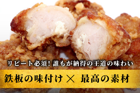 レンチンで簡単調理！ 特大！ジューシー！奥三河どり もも肉 から揚げ 2袋 1kg 鶏肉 もも肉 旨み ジューシー 老舗 冷凍 加熱済 温めるだけ 簡単 便利 自然解凍 弁当 おかず 惣菜 食品 おつまみ グルメ お取り寄せ 唐揚げ お肉 肉 揚げ物 -329