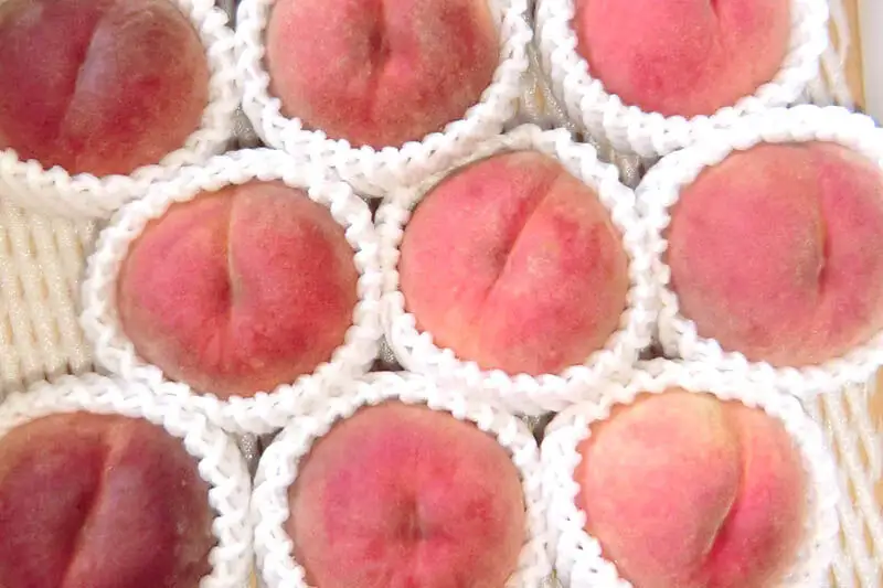 茂木農園 秋田県産 手作りジャムセットA 合計750g（りんご・桃・洋梨 各250g）