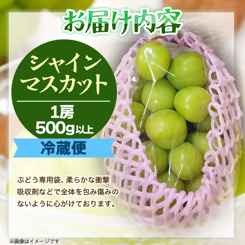 『2026年発送 先行受付』 信州高山村【新鮮朝採り 農家直送】 シャインマスカット ひと房【配送不可地域：離島】【1613809】