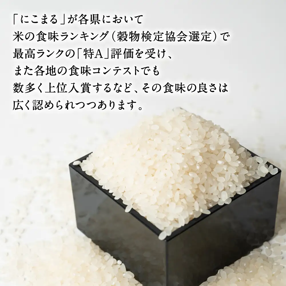【令和7年産】 菜の花畑のお米 「特別栽培米」 5kg （5kg×1袋） にこまる 米 お米 精米 白米 ごはん ご飯 熊本