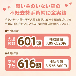 人と猫が互いに幸せになれるまちを目指して『不妊去勢手術支援プロジェクト』（返礼品はありません） N0159-9999994