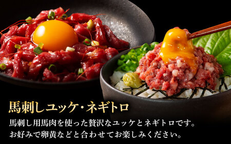 【全6回定期便】ふじ馬刺し 贅沢詰合せ 3996 BHAD134 馬刺し