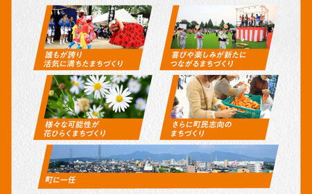 【応援寄附金】熊本県菊陽町 1口 10万円 返礼品なしのご寄附　【菊陽町】[BHZZ005]