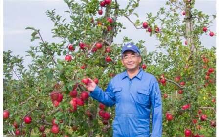 果樹園直送 秋田県産 りんごジュース ストレート 1L×3本