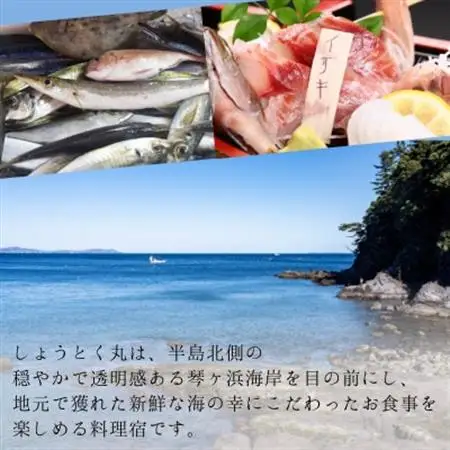 しょうとく丸「しょうとく丸セット」ペアお食事券【1699196】