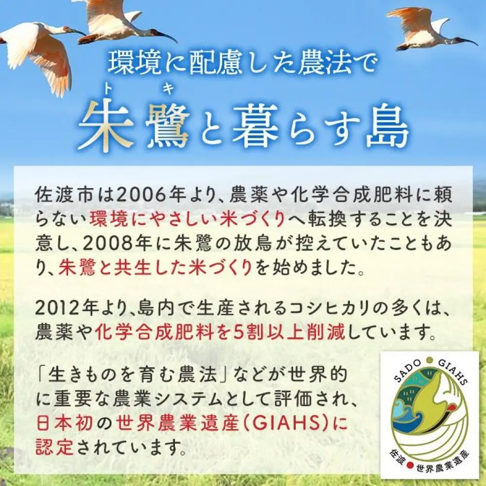 佐渡産コシヒカリ 2kg