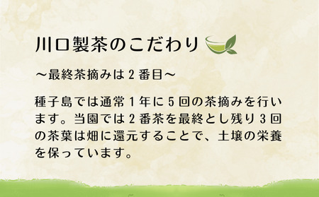 【 R8年産 出荷中 】 種子島 川口製茶 えなみどり あさつゆ 希少茶葉 2個セット NFN643【250pt】 / 浅蒸し 日本茶 緑茶  希少品種 お茶 新茶 一番茶 天然玉露 濃厚 な 甘味 旨味  80g