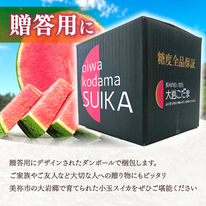 甘くて 果肉 たっぷり！ 大岩 こだま スイカ 2玉 「 神秘の里 大岩郷 よりお届け 長州の紅い宝石 」 先行予約 ＜ 2026年 7月下旬 ～ 8月頃 発送予定 ＞