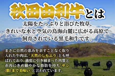 秋田由利牛の手づくりハンバーグと秋田米セット（ハンバーグ150g×3パック 米1合×2パック）牛肉 肉 米 お米 ブランド米 セット 秋田県 由利本荘市　