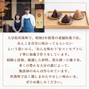 あんこ菓子いわした あんこペースト 1kg 2袋（計2kg） こし 餡子 こし餡 あんこ ペースト