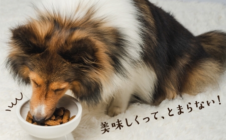 ワンちゃんのおやつ 豚 ４袋 ドッグフード 犬 おやつ 無添加 グルテンフリー 国産