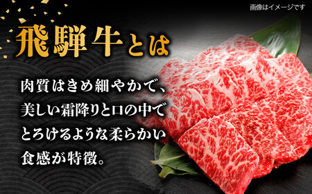 【6月発送】飛騨牛 焼肉用 ロース・肩ロース 500g A5等級 [TAZ030-6]