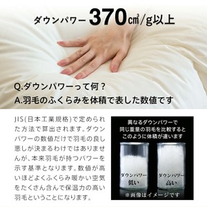 羽毛布団　ハンガリーホワイトダック90％　DP370　シングル（ベージュ：クローバーメイト柄） _ 掛け布団 ハンガリー ホワイトダック ダウン 90％ 洗える コインランドリー 日本製 選べる シングル ふっくら保温 立体キルト 柔らか ダウンプルーフ 抗菌 防臭 ダニプルーフ 加工 江崎ふとん 久留米市 送料無料  〔Qc067-kmbe〕