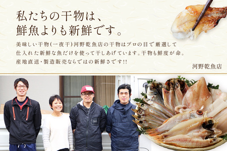 浜田港水揚げ魚の薄塩味干物C（のどぐろを含む） 【019_1955】