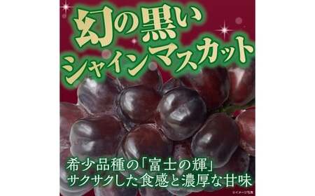 【訳あり】かねひろの黒酢ブラックシャインマスカット 富士の輝き 約700g × 2房 （合計：約1.4kg） 【2026年9月上旬～9月下旬発送予定】 シャインマスカット ぶどう ブドウ ブラック 葡萄 シャインマスカット フルーツ 果物 くだもの 訳あり わけあり 佐賀県 太良町 003-0008
