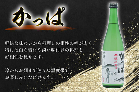 日本酒 辛口 本醸造 辛口かっぱ 720ml 2本 セット [米鶴酒造 山形県 高畠町 tk06ays710008]