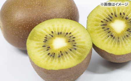 福岡限定品種キウイ「甘うぃ」約1.3kg-約1.5kg／2026年11月頃より発送予定 桂川町/一般社団法人地域商社ふるさぽ[ADCF013]