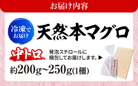 天然 本まぐろ 中トロ（約200~250g（1柵入り））【横須賀商工会議所 おもてなしギフト事務局（本まぐろ直売所 横須賀本店）】[AKAK118]