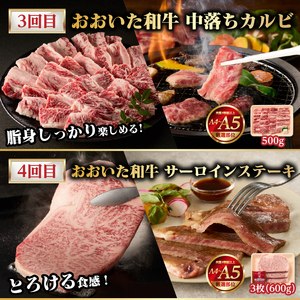 【隔月配送】【おおいた和牛堪能】隔月4回お届け定期便 T10098
