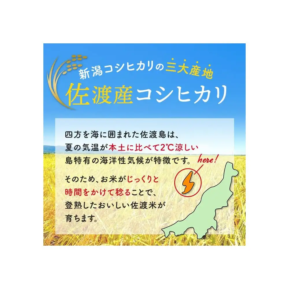 【令和7年産】佐渡産コシヒカリ2kg×2袋