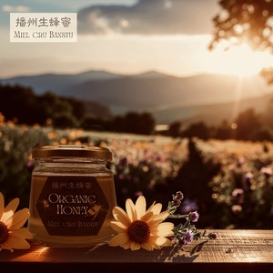 播州生蜂蜜　～Miel cru bansyu　500g / 天然 生蜂蜜 はちみつ 非加熱 ハニー