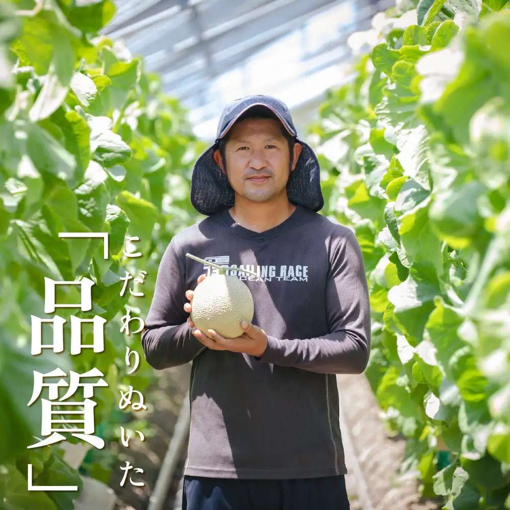 『組合直送』アローマメロン1.3kg 1玉｜フルーツ 果物 くだもの デザート ギフト 贈答 プレゼント 産地直送 箱入 静岡